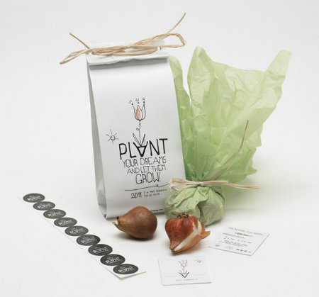 Packaging tulipes - design graphique Sophia Georgopulos - 04