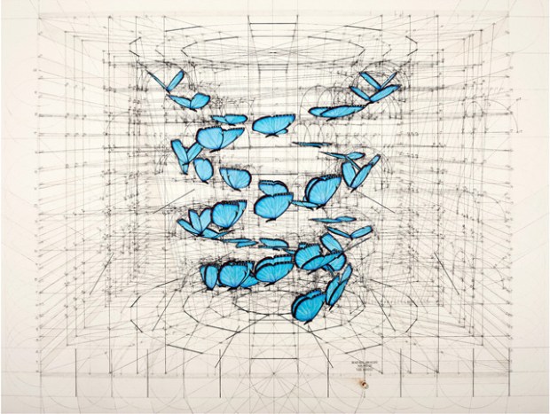 Inspirationsgraphiques-Livre-nombre-or-architecte-Rafael-Araujo-illustrateur-nature-dessins-graphiste-3D-inspiration-art-mathematiques-book-Kickstarter-08