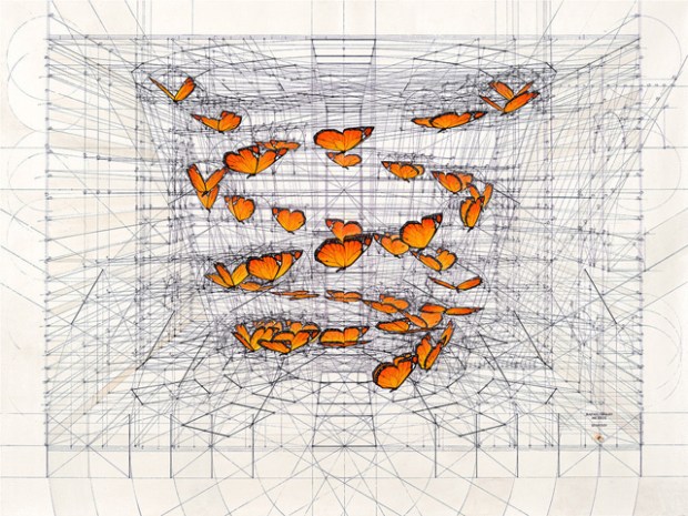 Inspirationsgraphiques-Livre-nombre-or-architecte-Rafael-Araujo-illustrateur-nature-dessins-graphiste-3D-inspiration-art-mathematiques-book-Kickstarter-09