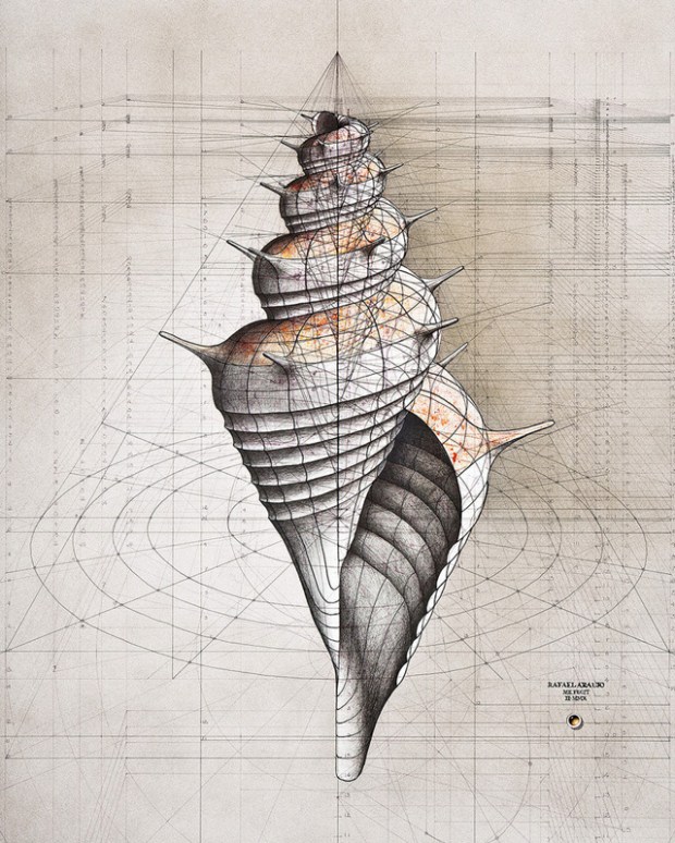 Inspirationsgraphiques-Livre-nombre-or-architecte-Rafael-Araujo-illustrateur-nature-dessins-graphiste-3D-inspiration-art-mathematiques-book-Kickstarter-10