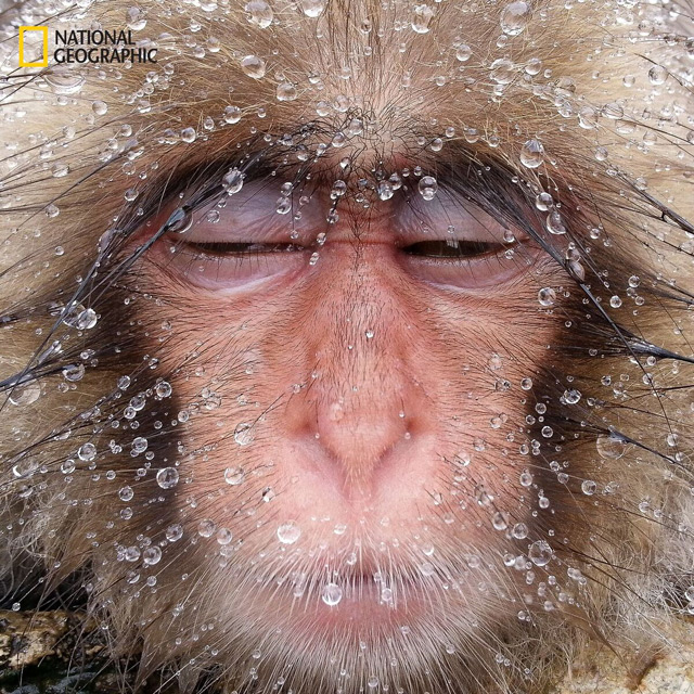 Takeshi Marumoto, “Water Drops”, Nagano, Japon