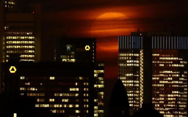 Francfort (Allemagne) - © REUTERS