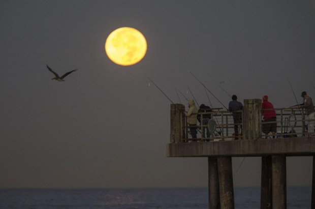 Redondo Beach, Californie - © AFP