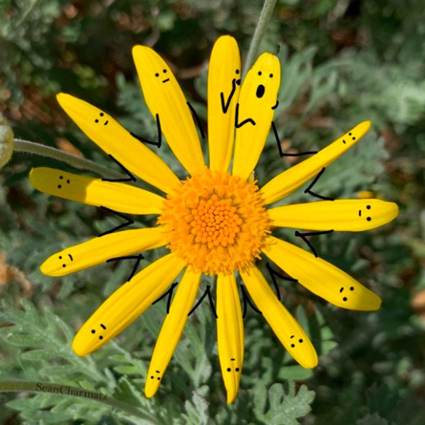 Inspirationsgraphiques-detournements-imagination-Sean-Charmatz-style-cartoon-dessin-anime-Bob-eponge-illustration-06