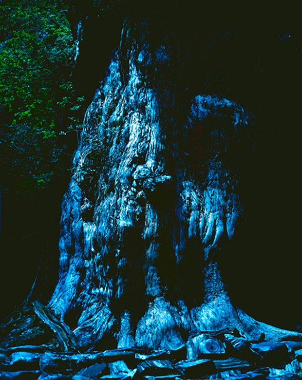 Inspirationsgraphiques-Eclairage-paysage-landscape-formation-photographe-japonais-Kenji-Ishikawa-lumiere-clair-lune-06