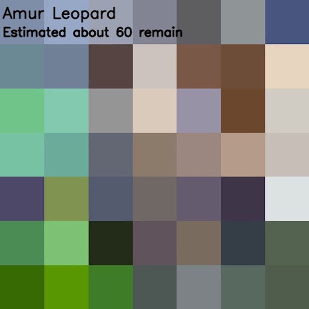 Inspirationsgraphiques-ecologie-WWF-artiste-JJSmooth44-photographie-animaliere-pixel-espece-menacee-preservation-sensibilisation-02