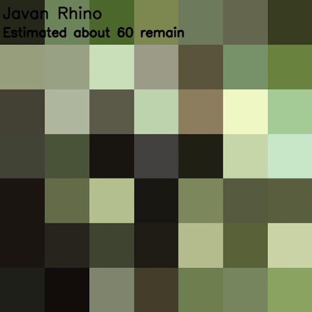 Inspirationsgraphiques-ecologie-WWF-artiste-JJSmooth44-photographie-animaliere-pixel-espece-menacee-preservation-sensibilisation-13